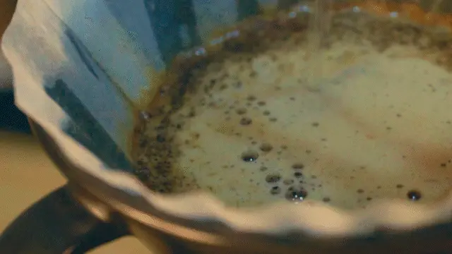 Rodaje 1